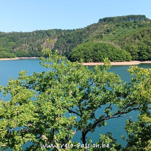 299f17ad-83b5-4a36-bc05-7e145c2a8547