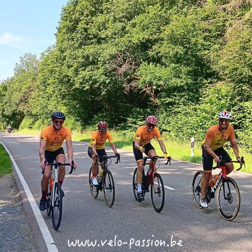 ae8b9310-06a3-414e-9482-1f07337d773b