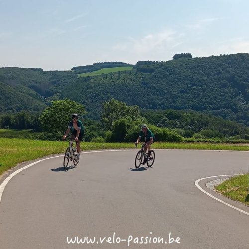 ff3a2c53-03e4-491d-b2fe-0e9f7ad5a068